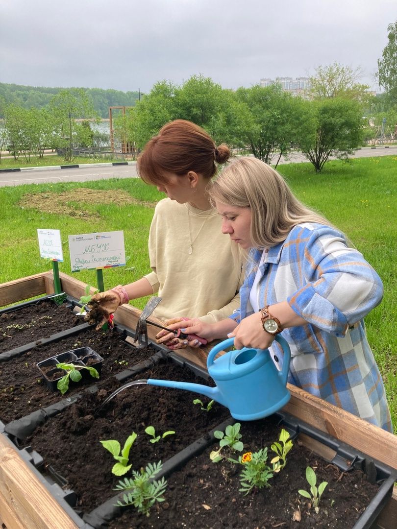 Солнечногорск, парк, общественный огород, садоводы, акция