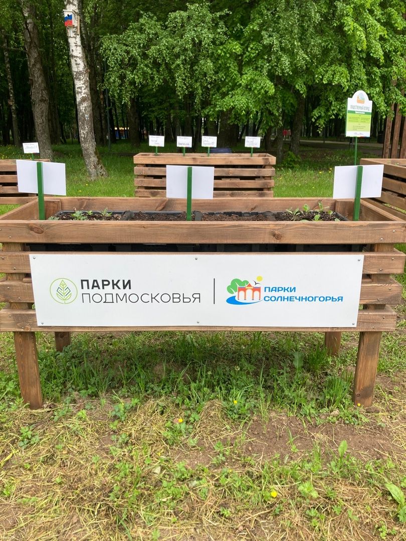 Солнечногорск, парк, общественный огород, садоводы, акция