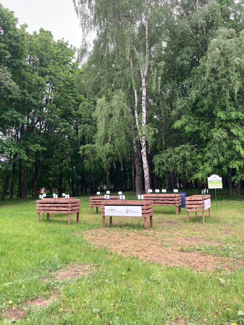 Солнечногорск, парк, общественный огород, садоводы, акция