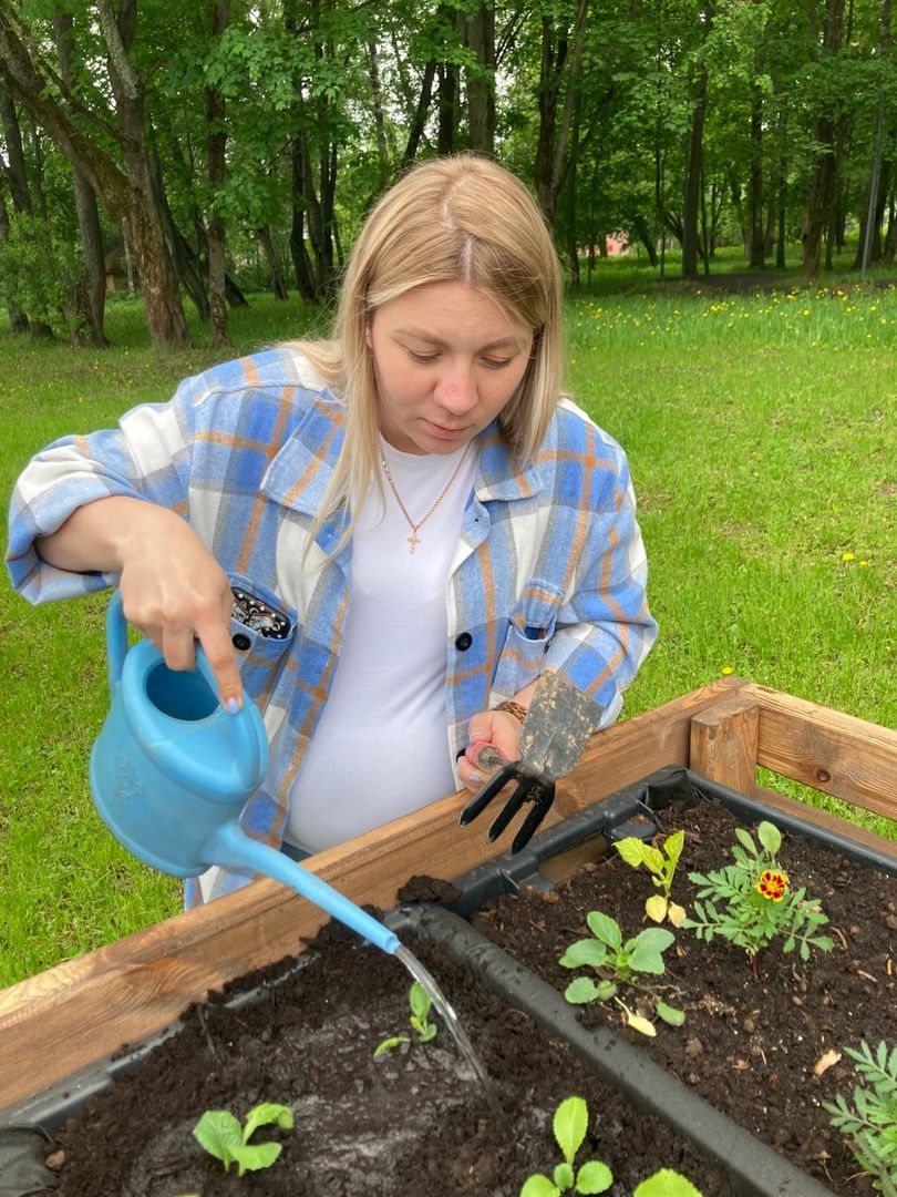 Солнечногорск, парк, общественный огород, садоводы, акция