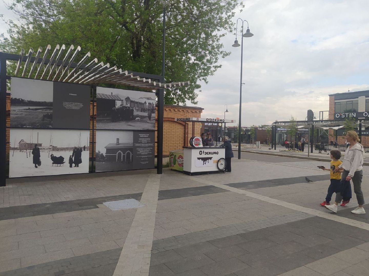 Истра, выставка, музей