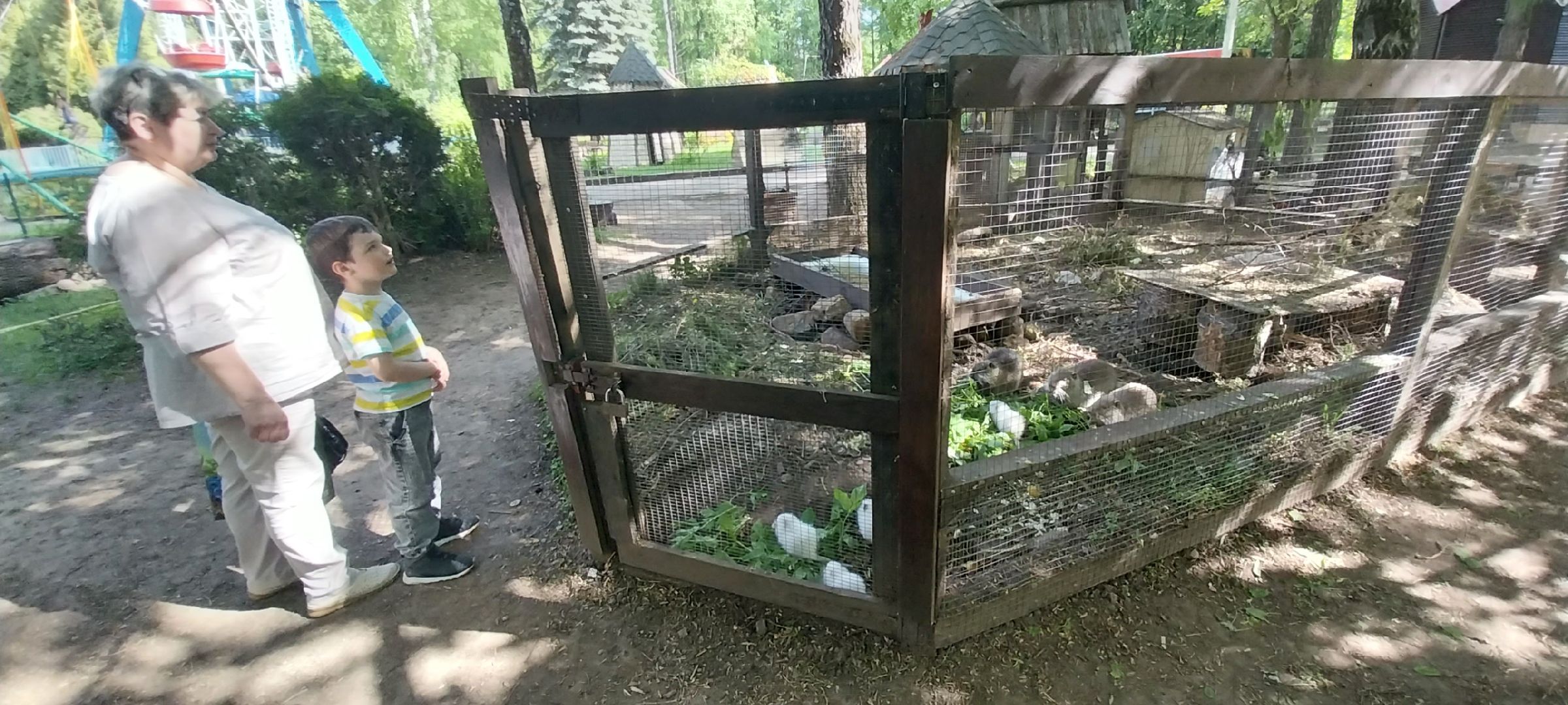 коломна, зооуголок, животные