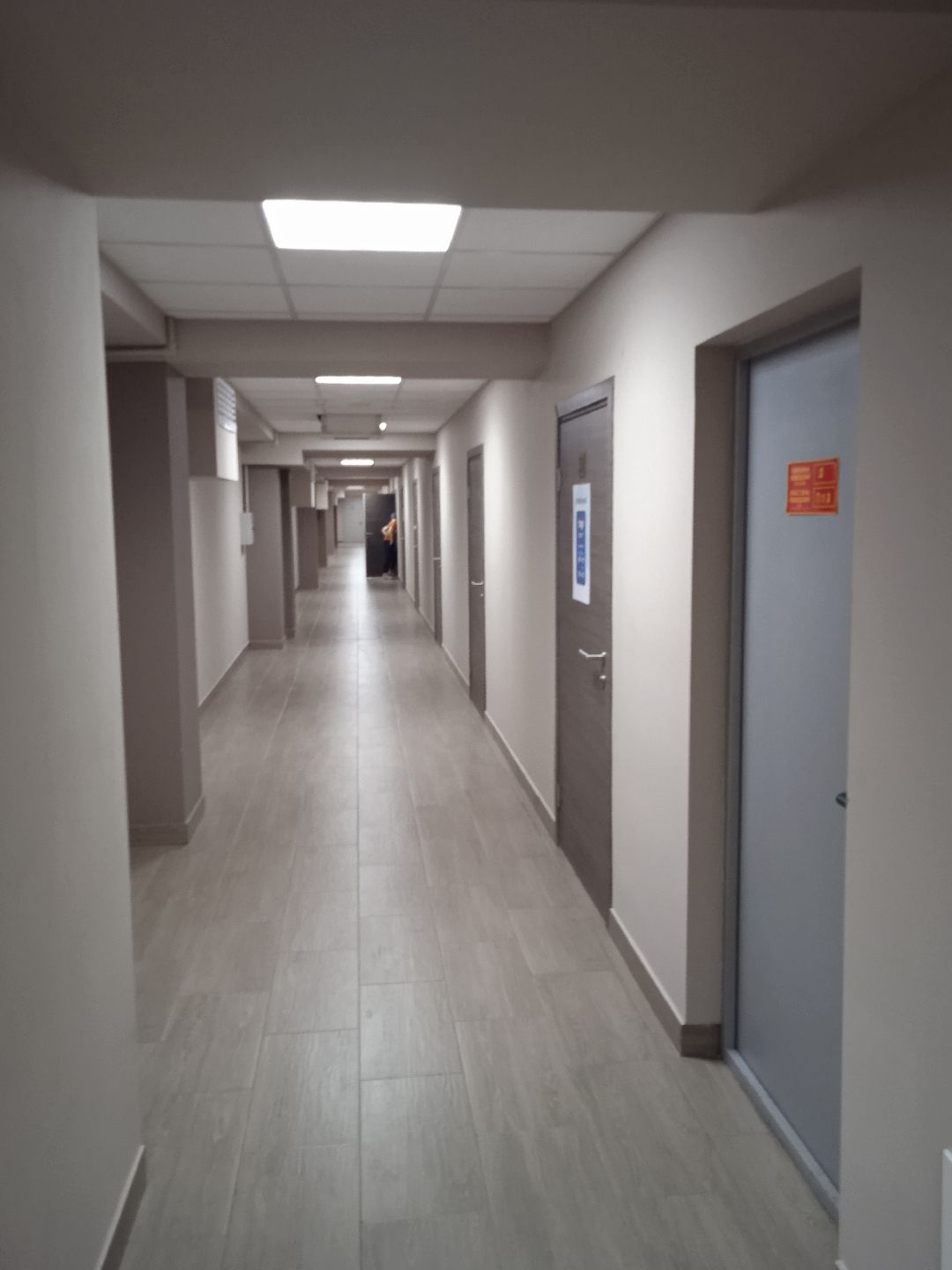 академия, TOP, IT, мастер-класс, Жуковский, Кот в сапогах, пиксели