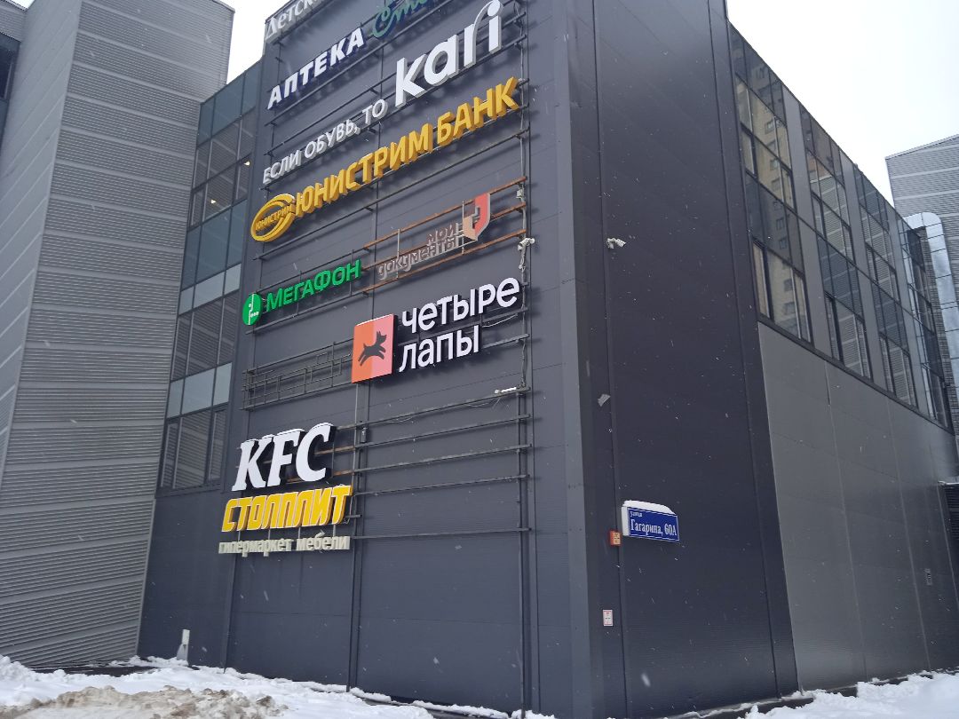 академия, TOP, IT, мастер-класс, Жуковский, Кот в сапогах, пиксели