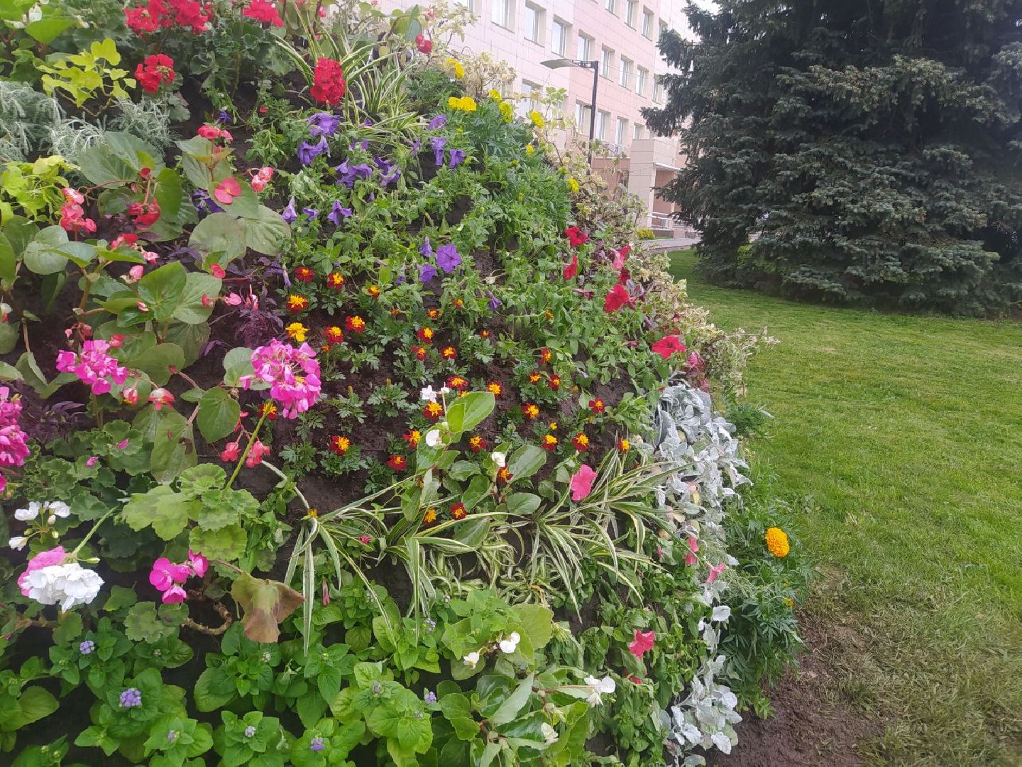 Истра, цветник, благоустройство