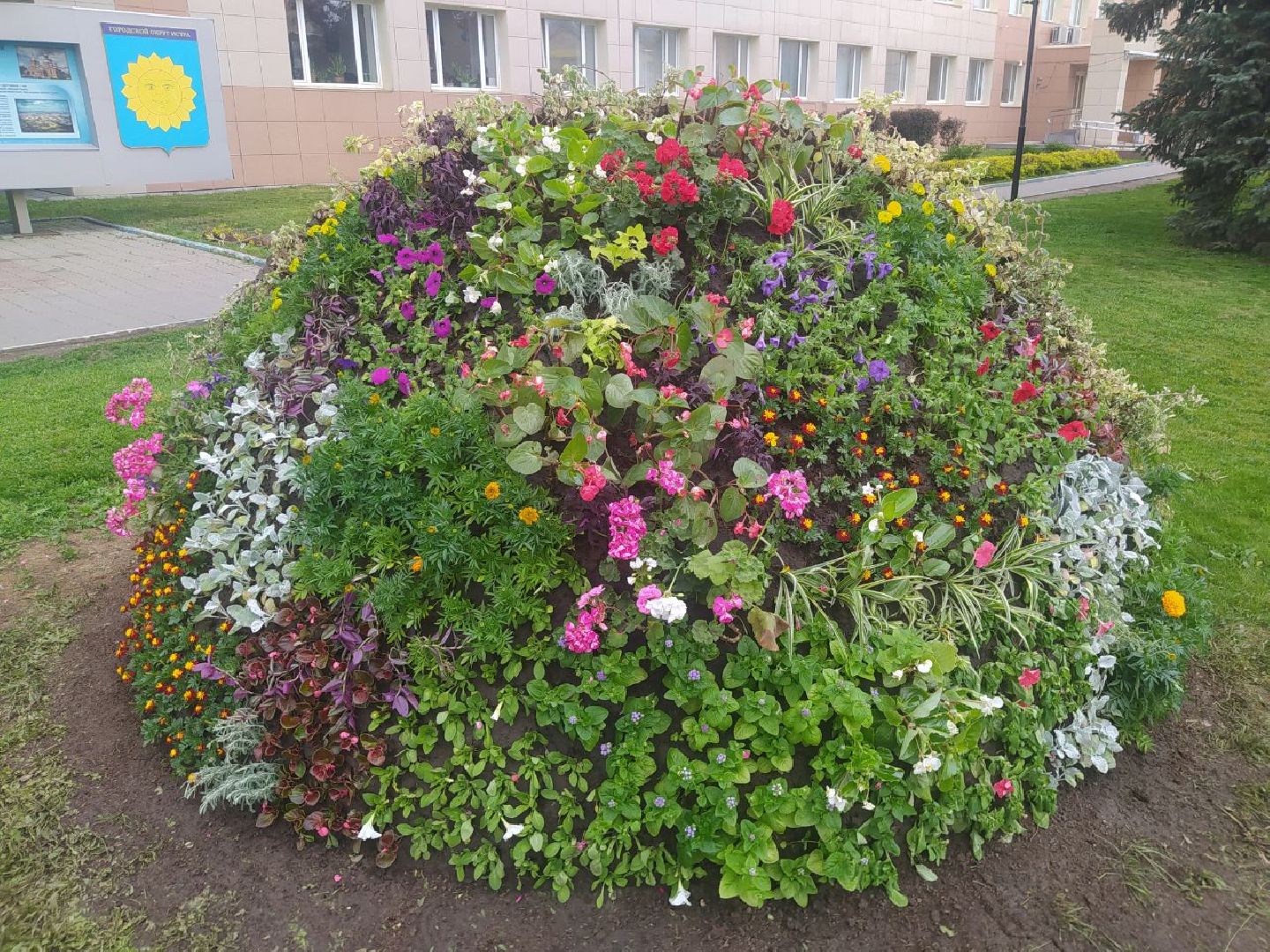 Истра, цветник, благоустройство