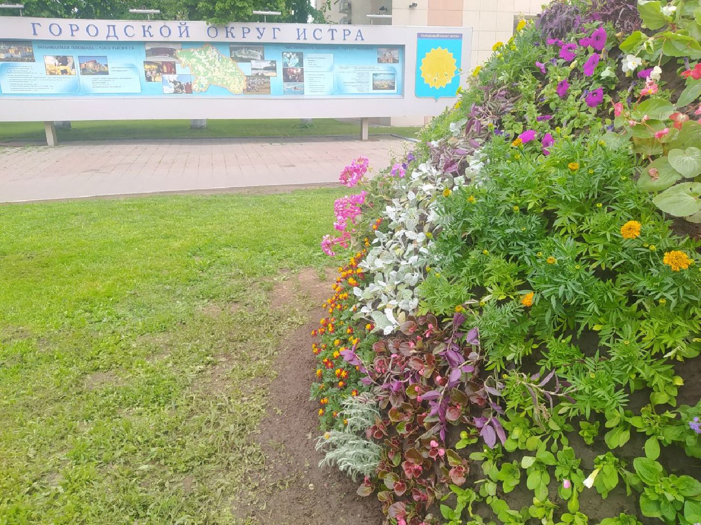 Истра, цветник, благоустройство