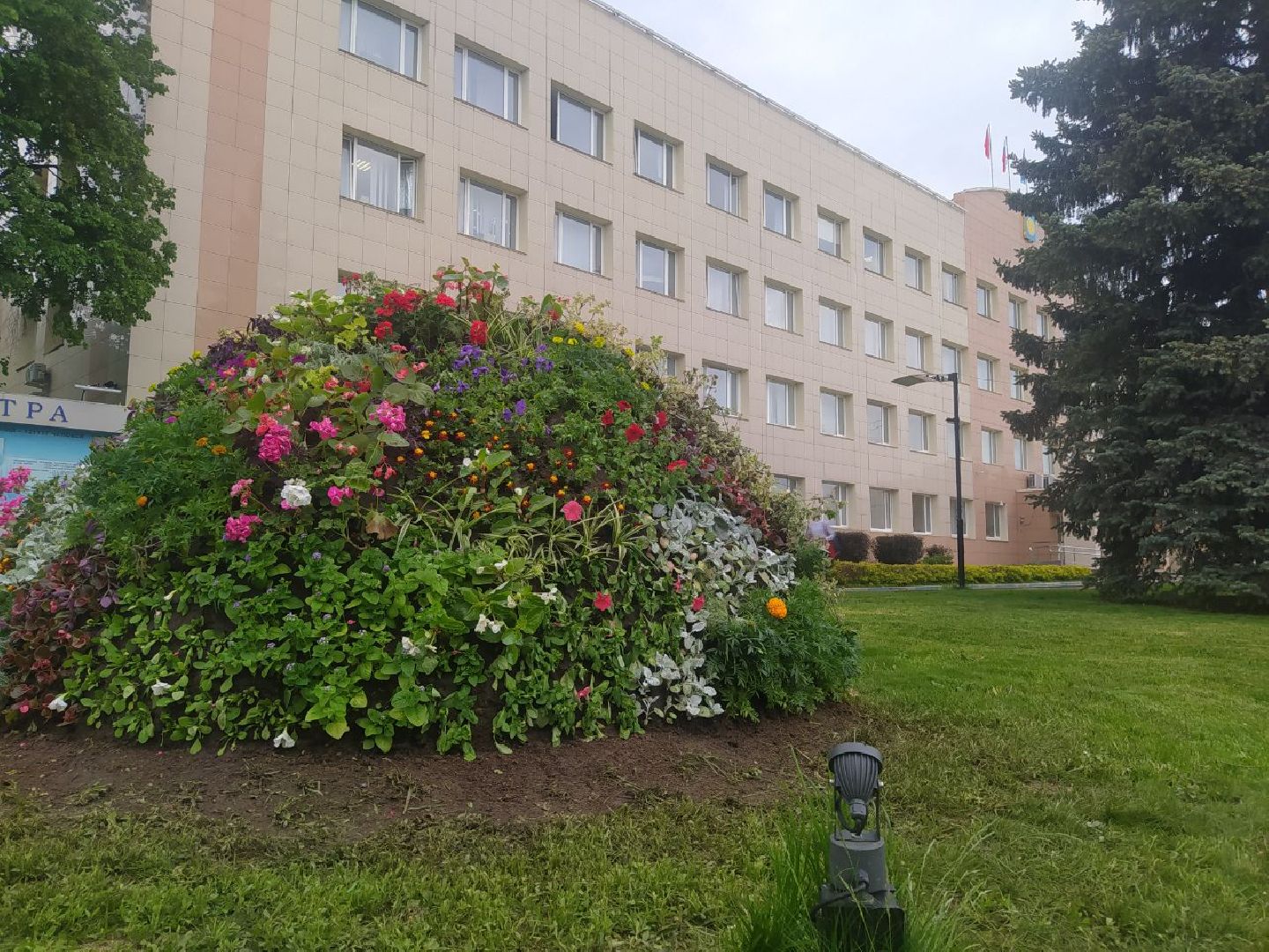 Истра, цветник, благоустройство