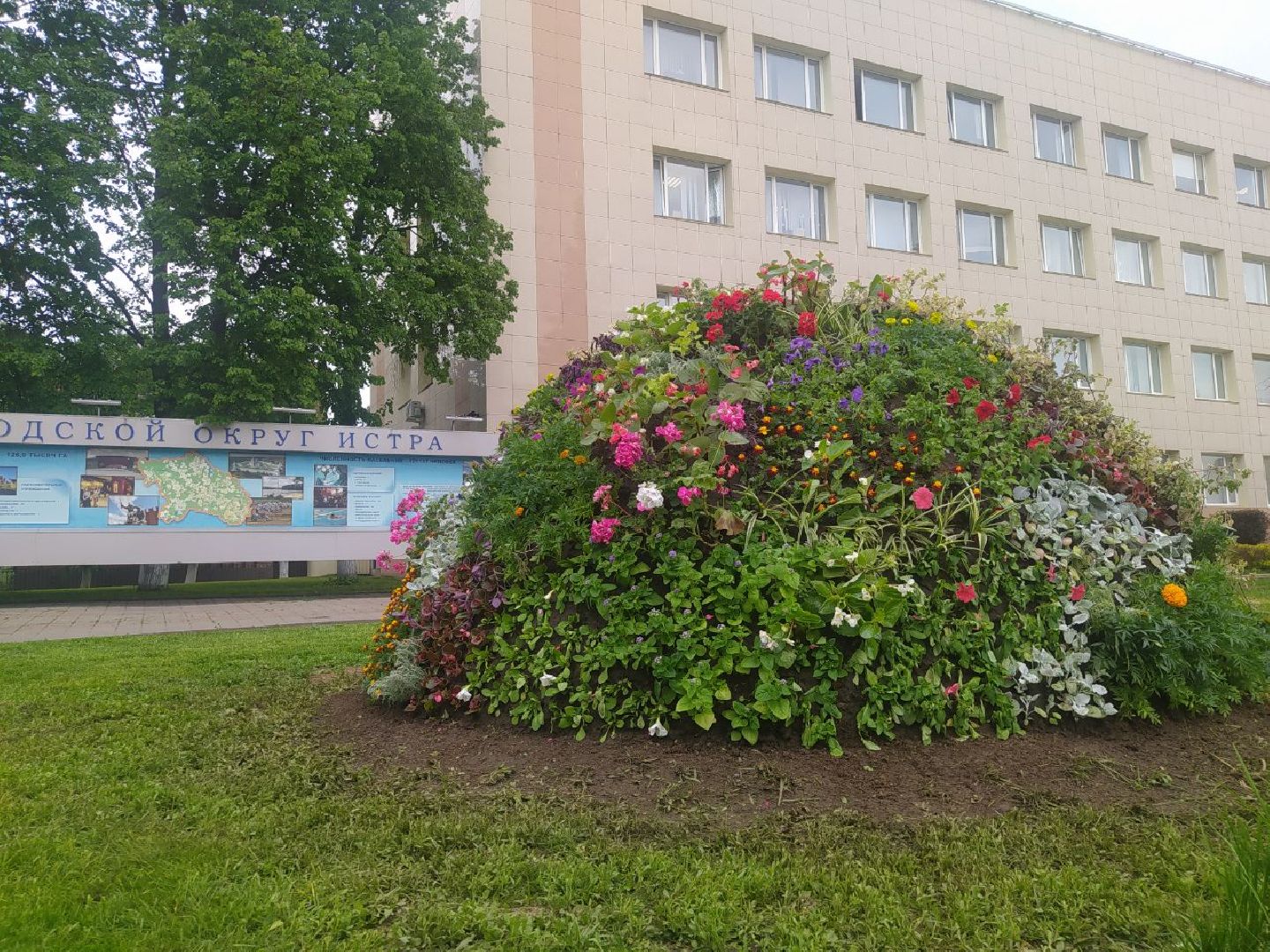 Истра, цветник, благоустройство