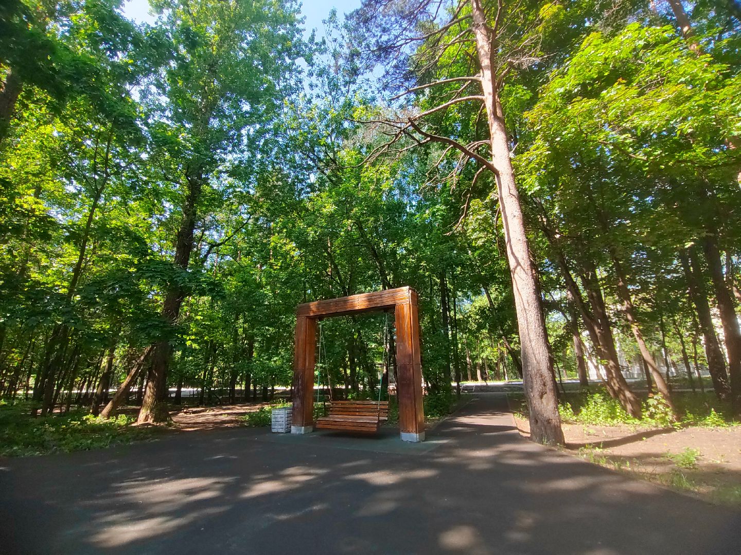 Пушкино, ЖКХ, МКД, Пушкинский округ, день соседа