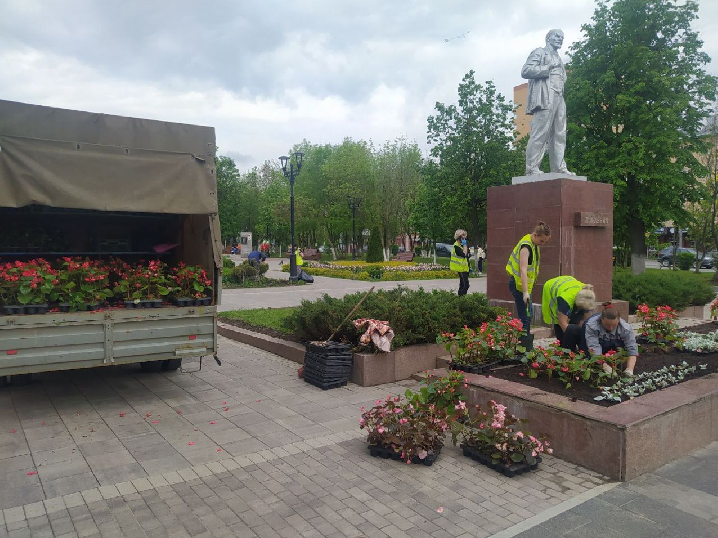 Истра, цветы, клумбы, ДОДХИБИМР