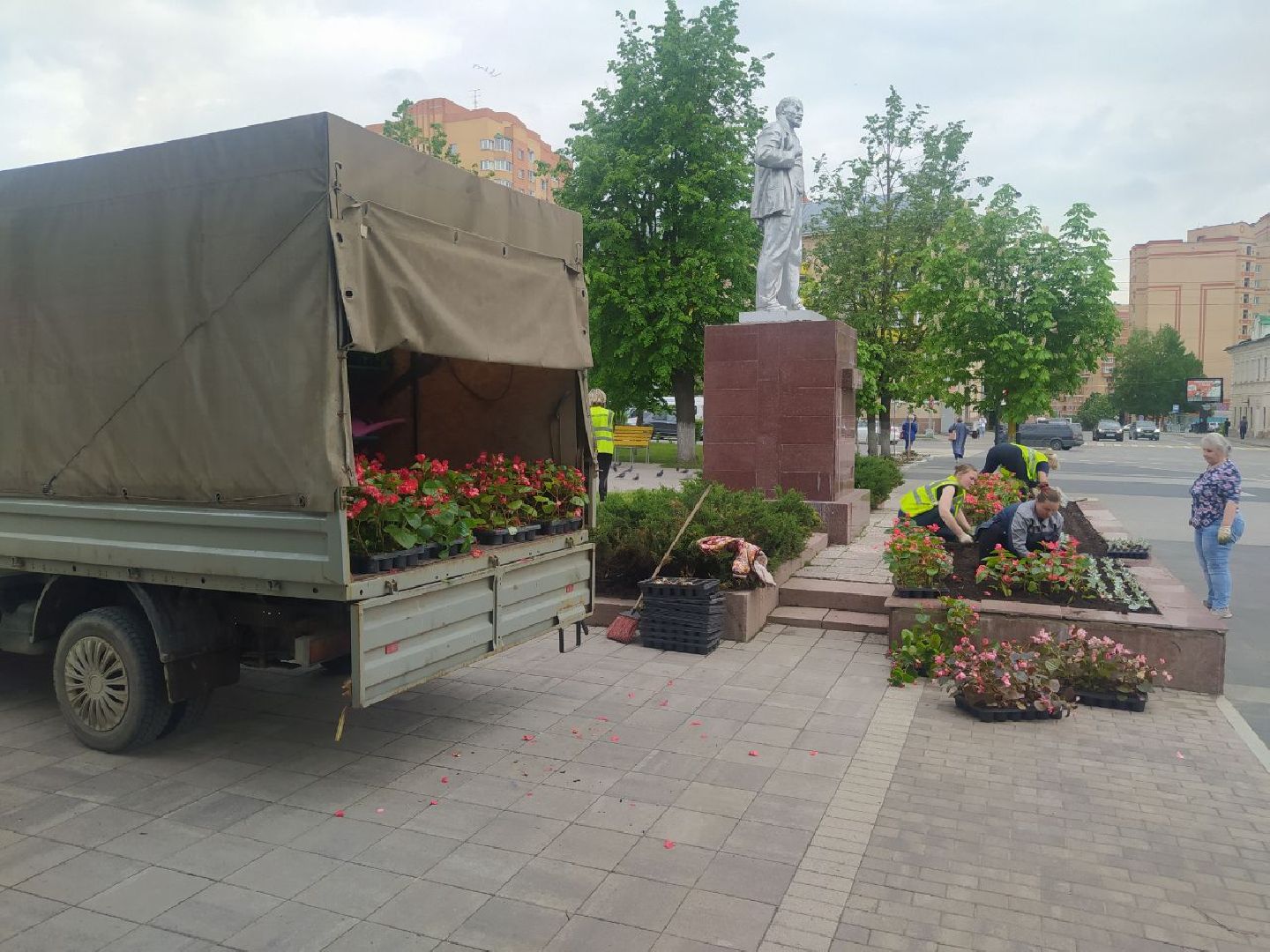 Истра, цветы, клумбы, ДОДХИБИМР