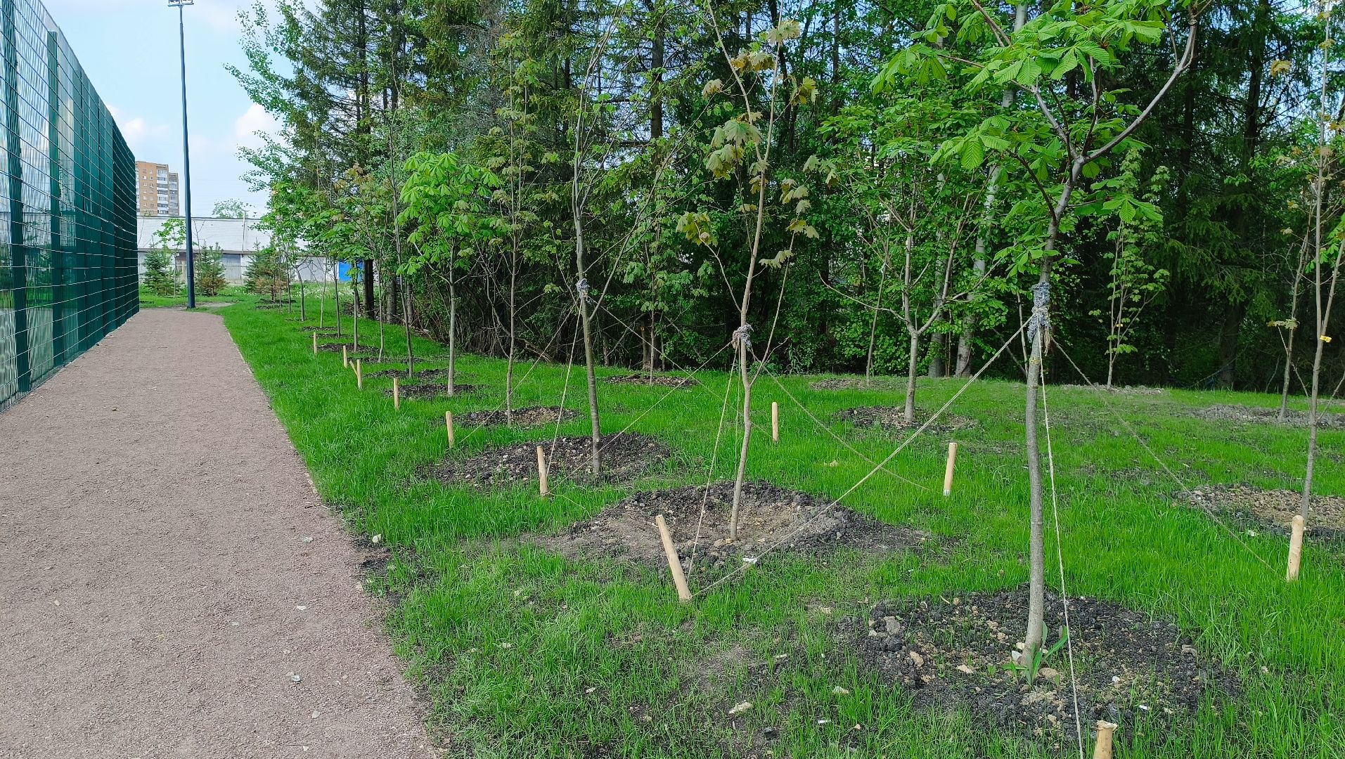 Лобня, благоустройство, лесопарк