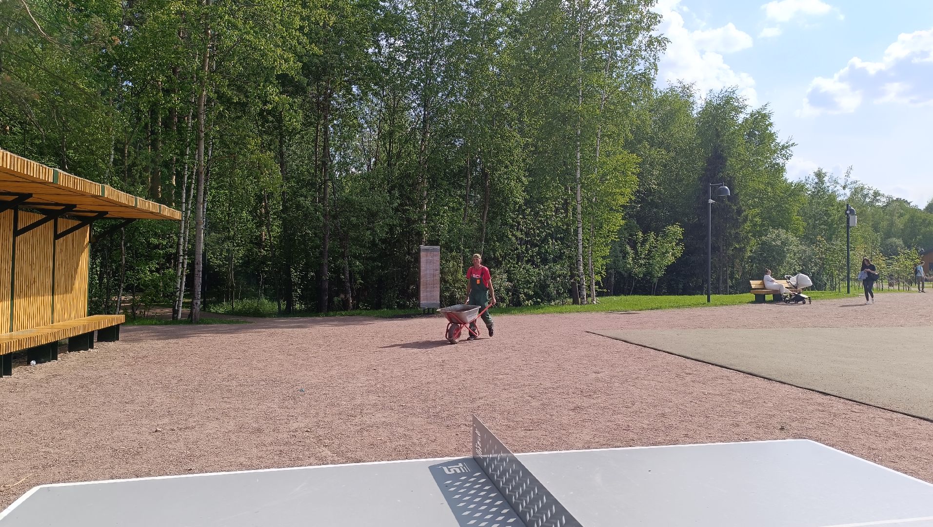 Лобня, благоустройство, лесопарк