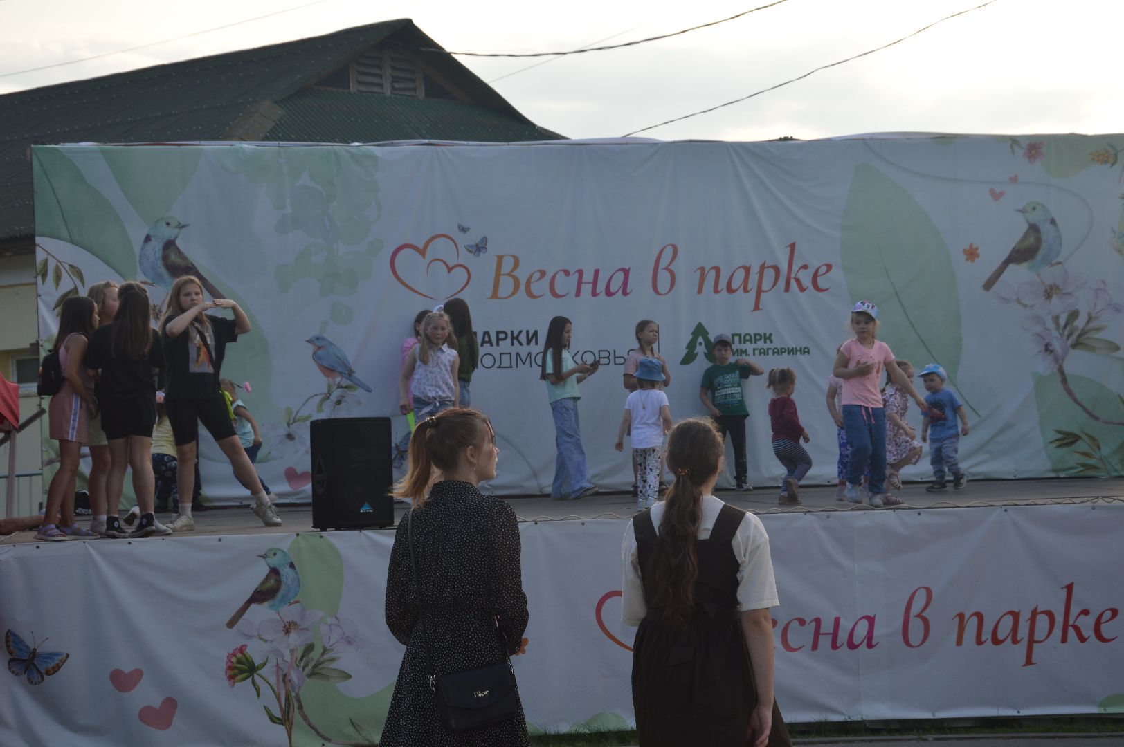 Шатура, парк, дискотека, Молодёжная пятница