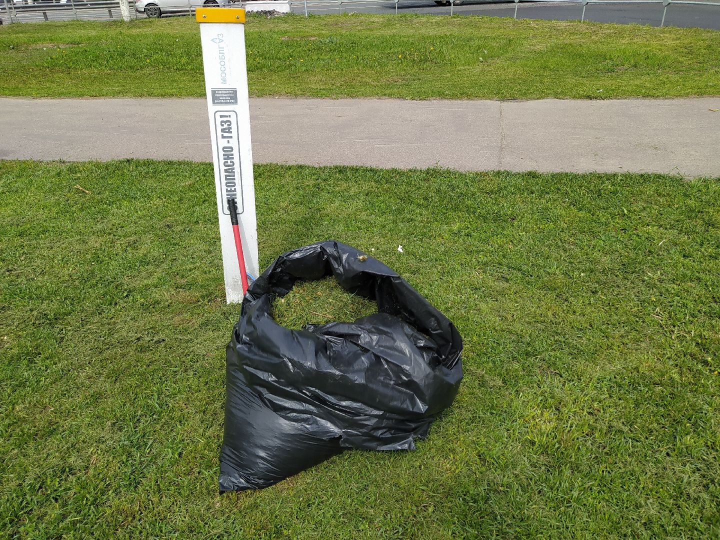 Газон, благоустройство, улица