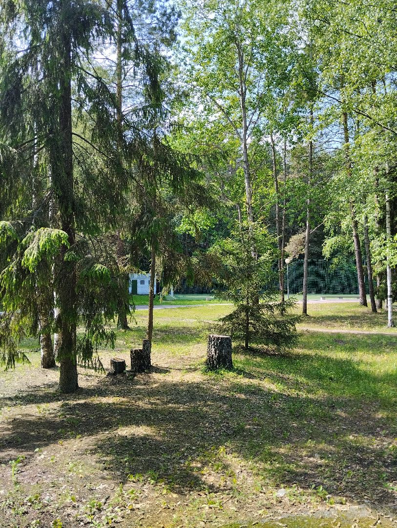 Детский оздоровительный лагерь, лагерь, дети, Ногинск, Богородский городской округ