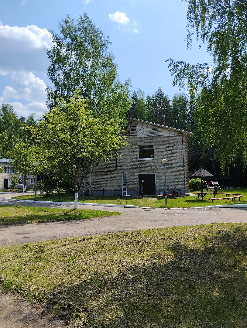 Детский оздоровительный лагерь, лагерь, дети, Ногинск, Богородский городской округ
