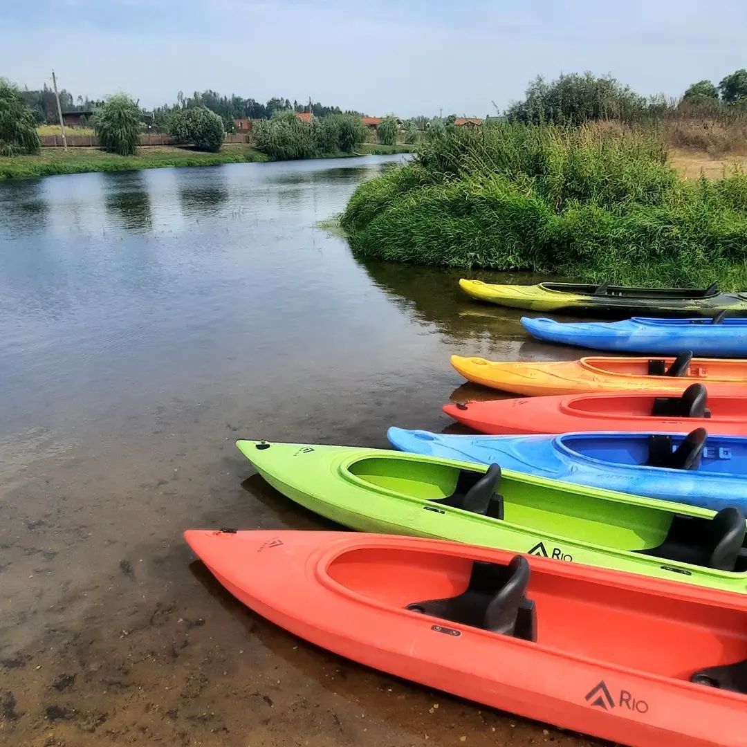 Звенигород, Каяк-кафе, сплавы по Москве-реке, водные прогулки, путешествия, туризм, достопримечательности Звенигорода