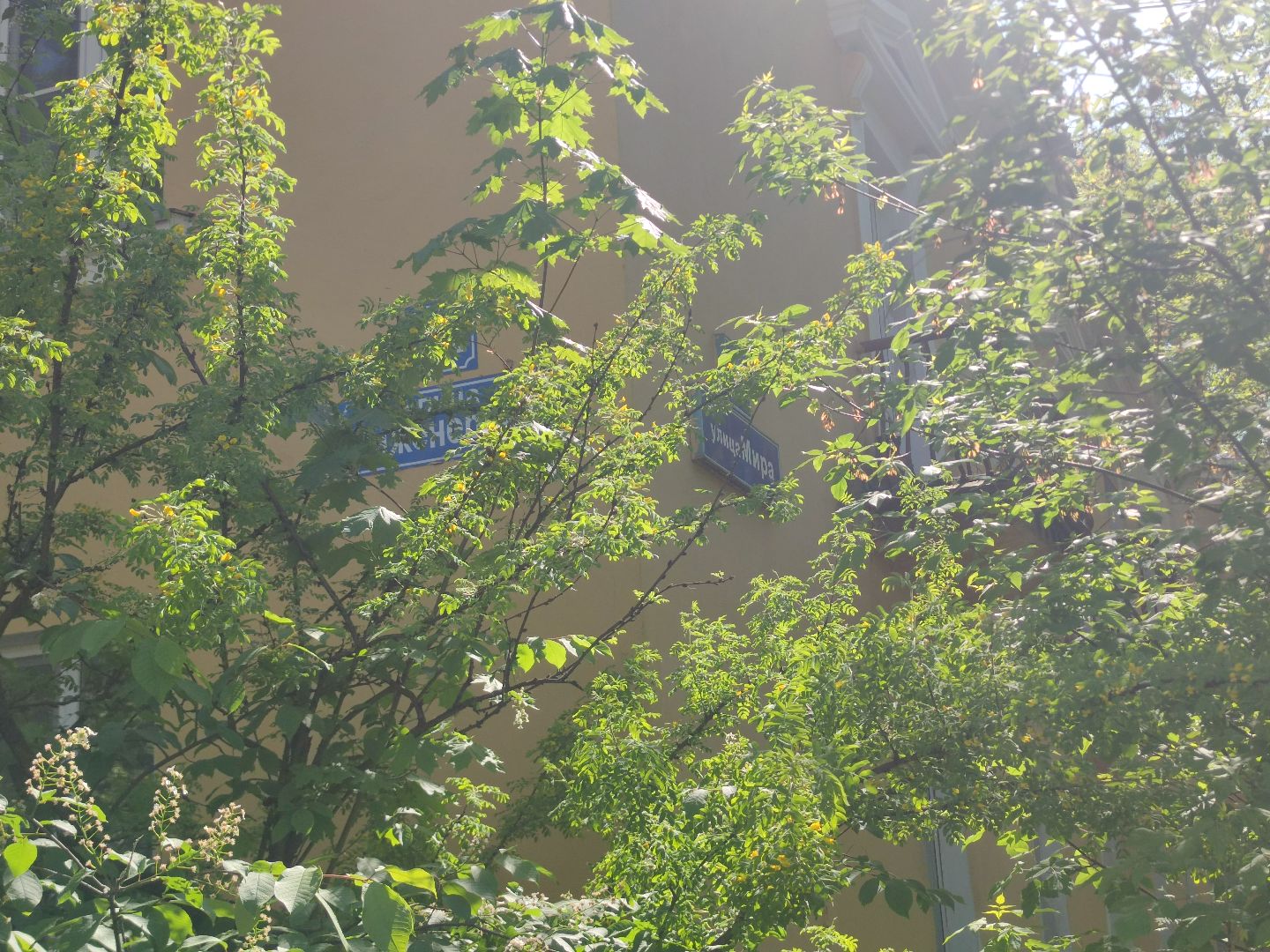 Ремонт кровли, ЖКХ, капитальный ремонт, Дубна