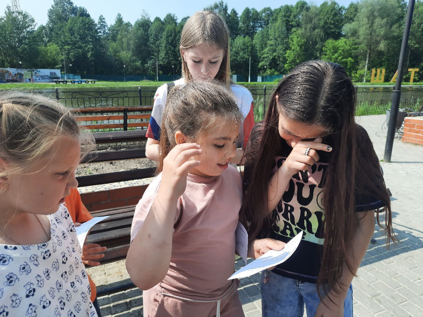 Шатура, Нетипичный парк, народные гуляние, парк, отдых