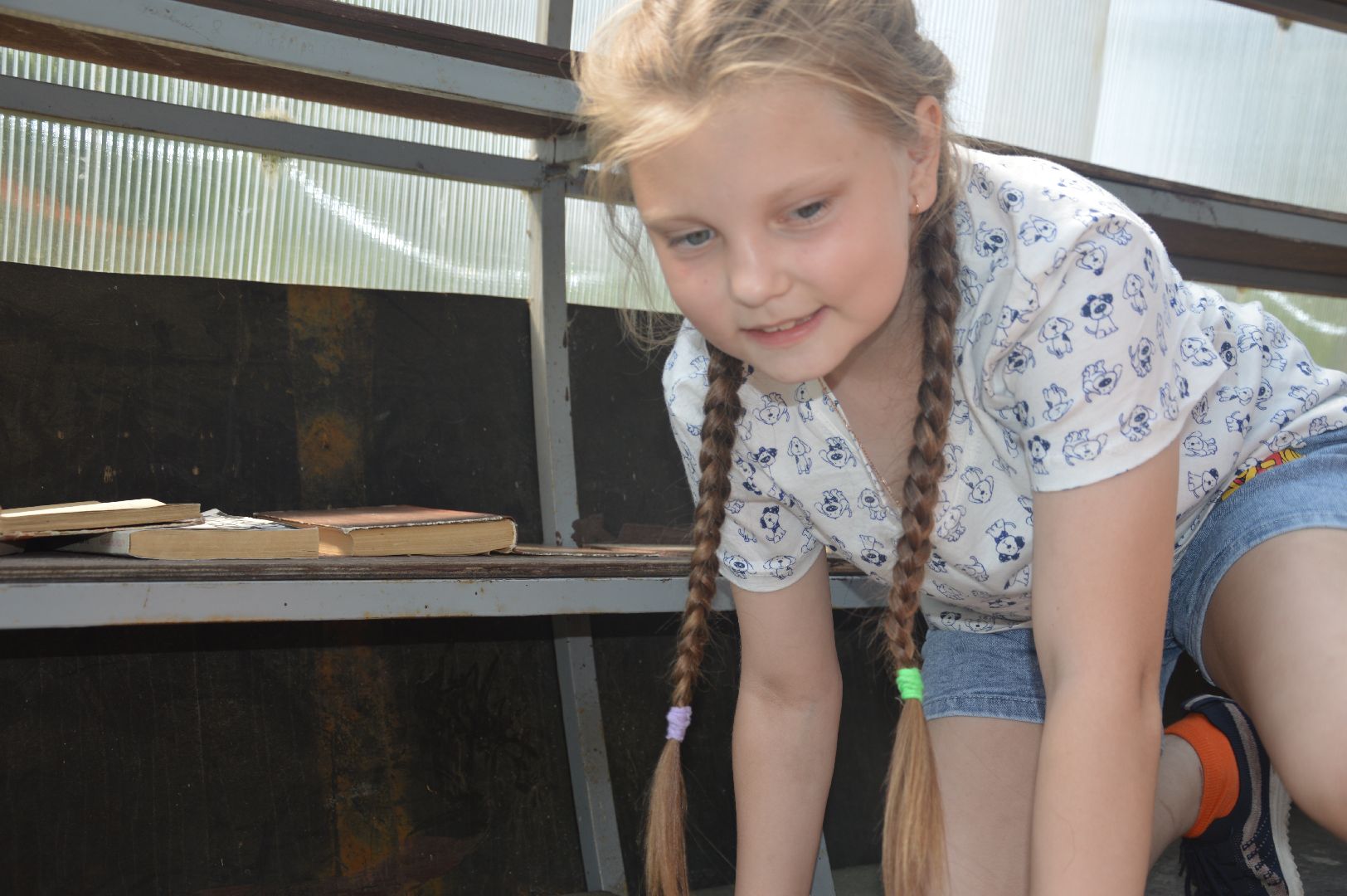 Шатура, Нетипичный парк, народные гуляние, парк, отдых