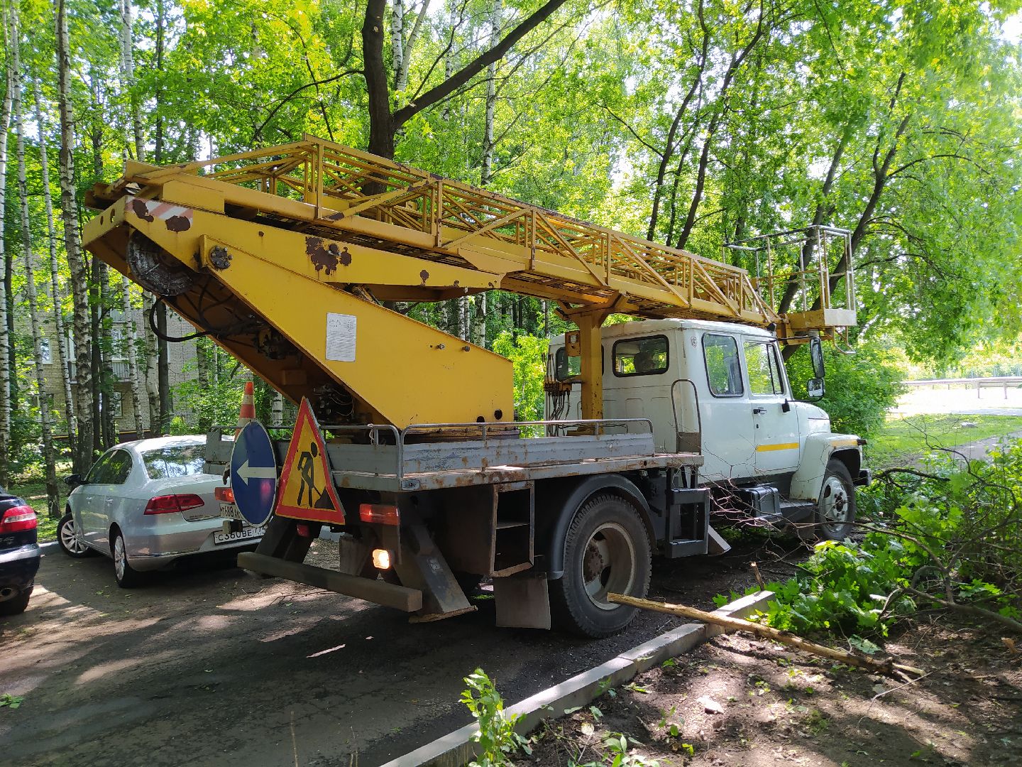 Обрезка, обработка, деревья, благоустройство