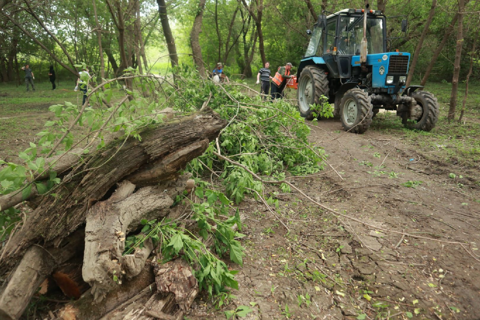 Пущино, волонтеры