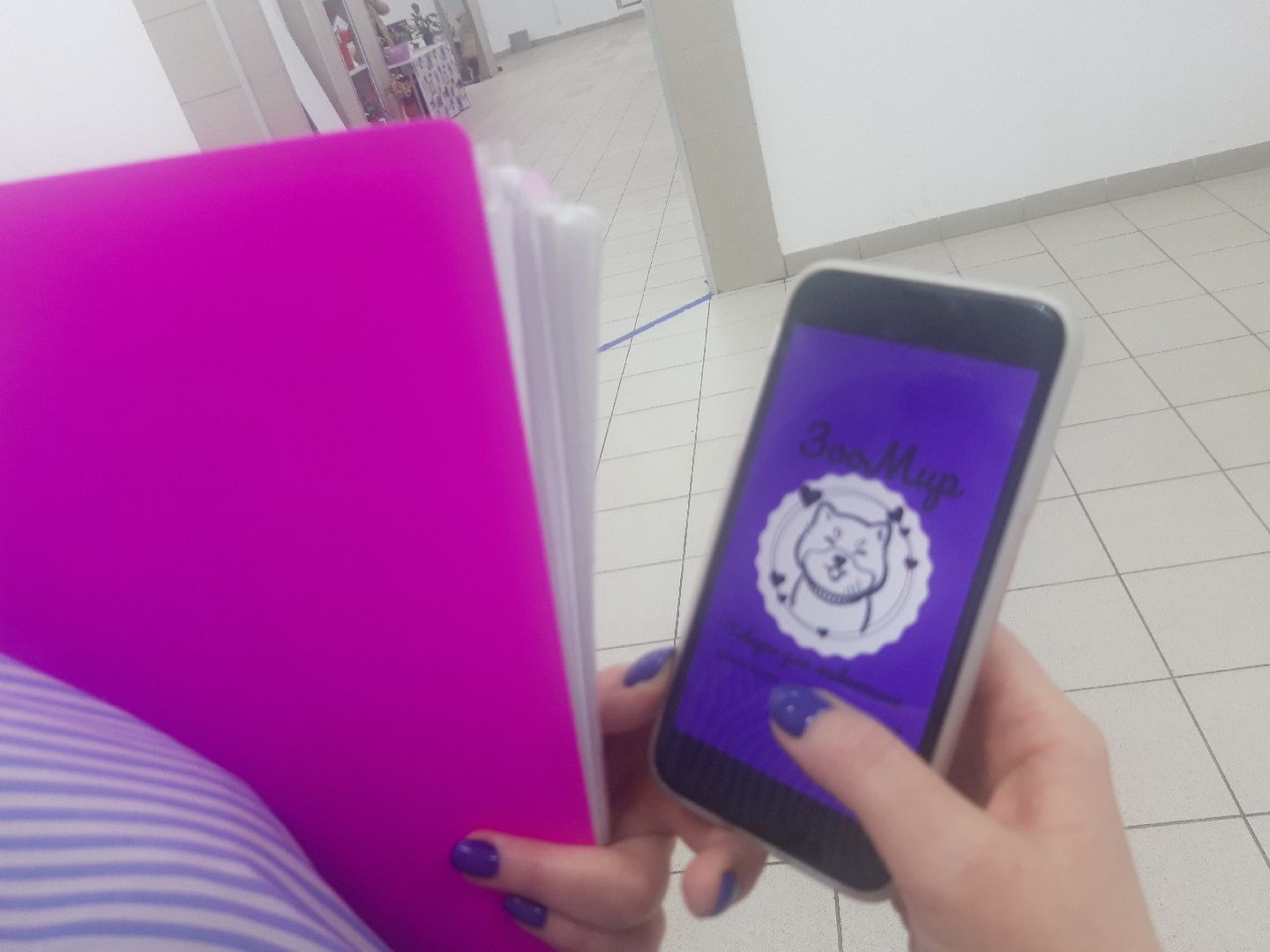 Пушкино, бизнес