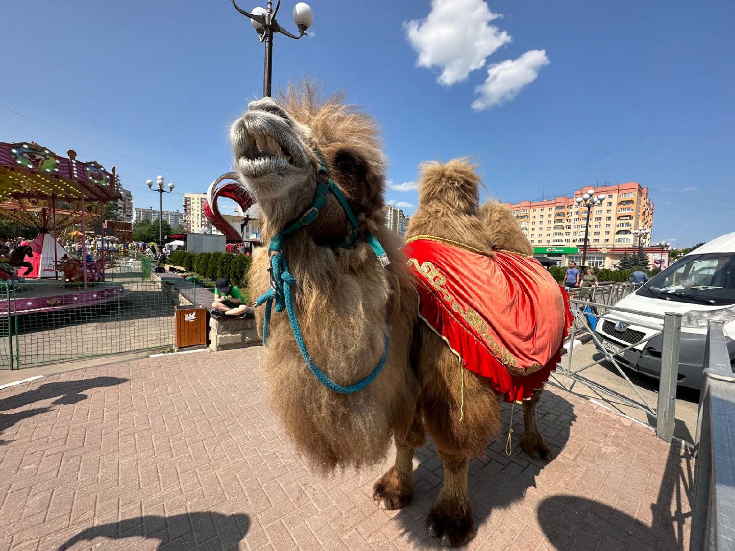 День города, Наро-Фоминск