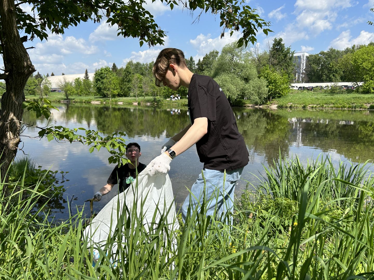 Вода России, 100 прудов и озёр, Фрязино