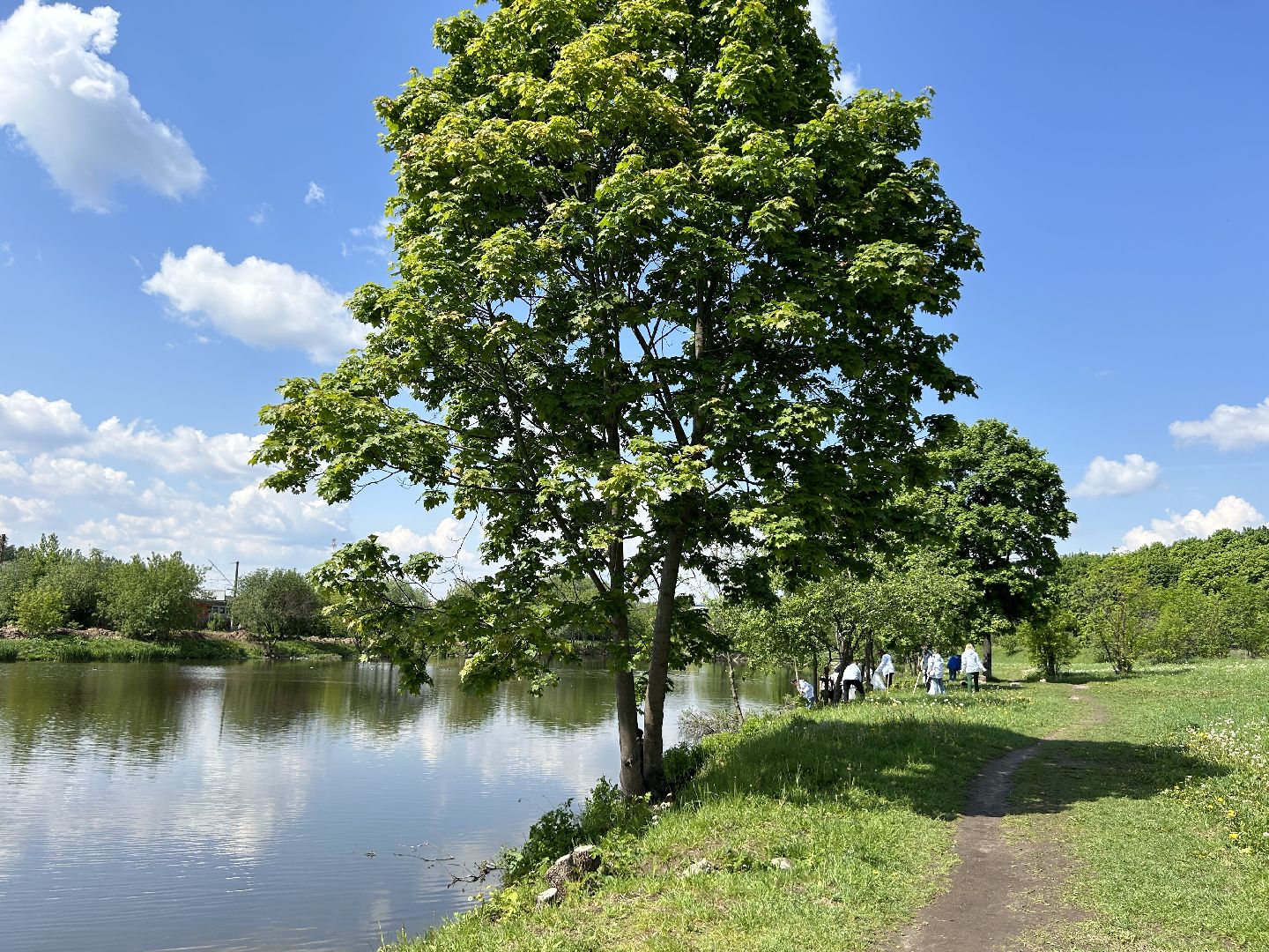 Вода России, 100 прудов и озёр, Фрязино