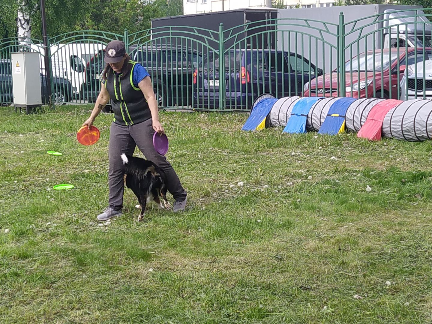 Долгопрудный, экология, макулатура, приюты, кинологи, парки
