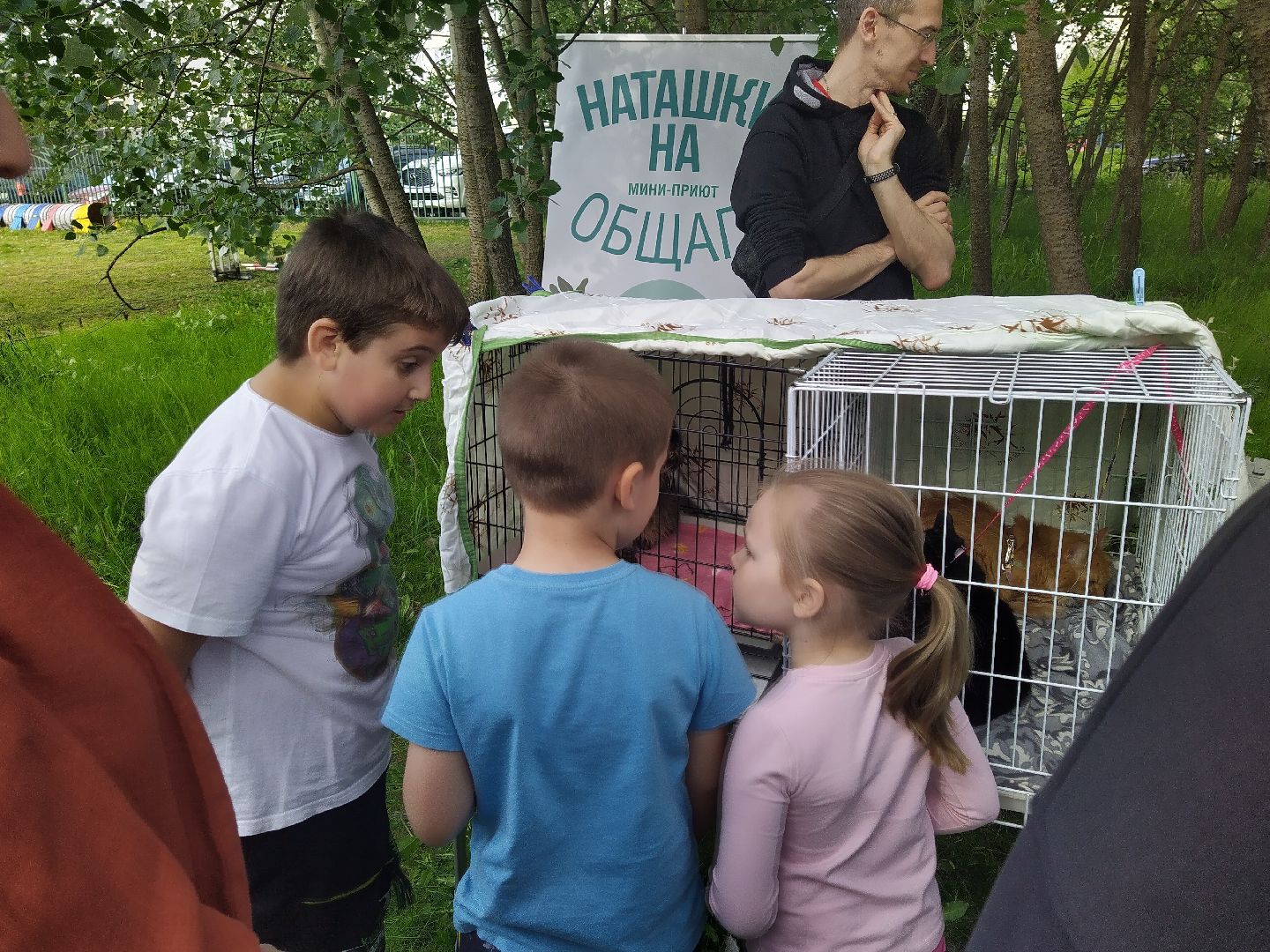 Долгопрудный, экология, макулатура, приюты, кинологи, парки