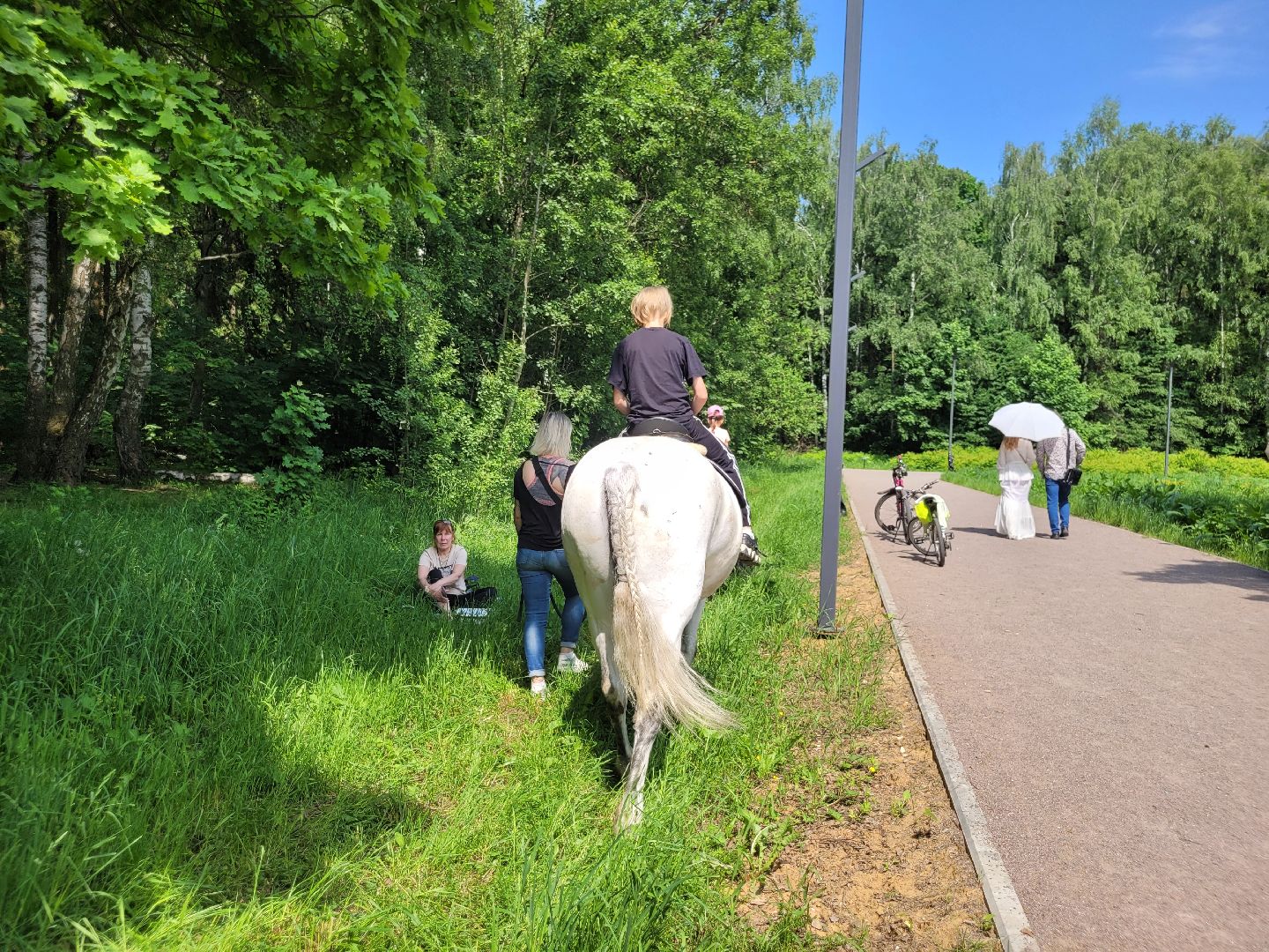 конная прогулка; видное; апаринки; казачий дозор
