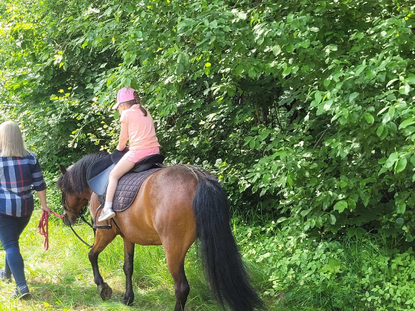 конная прогулка; видное; апаринки; казачий дозор