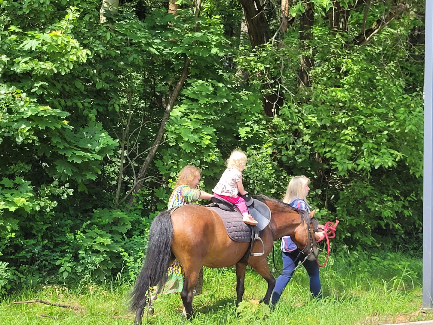 конная прогулка; видное; апаринки; казачий дозор