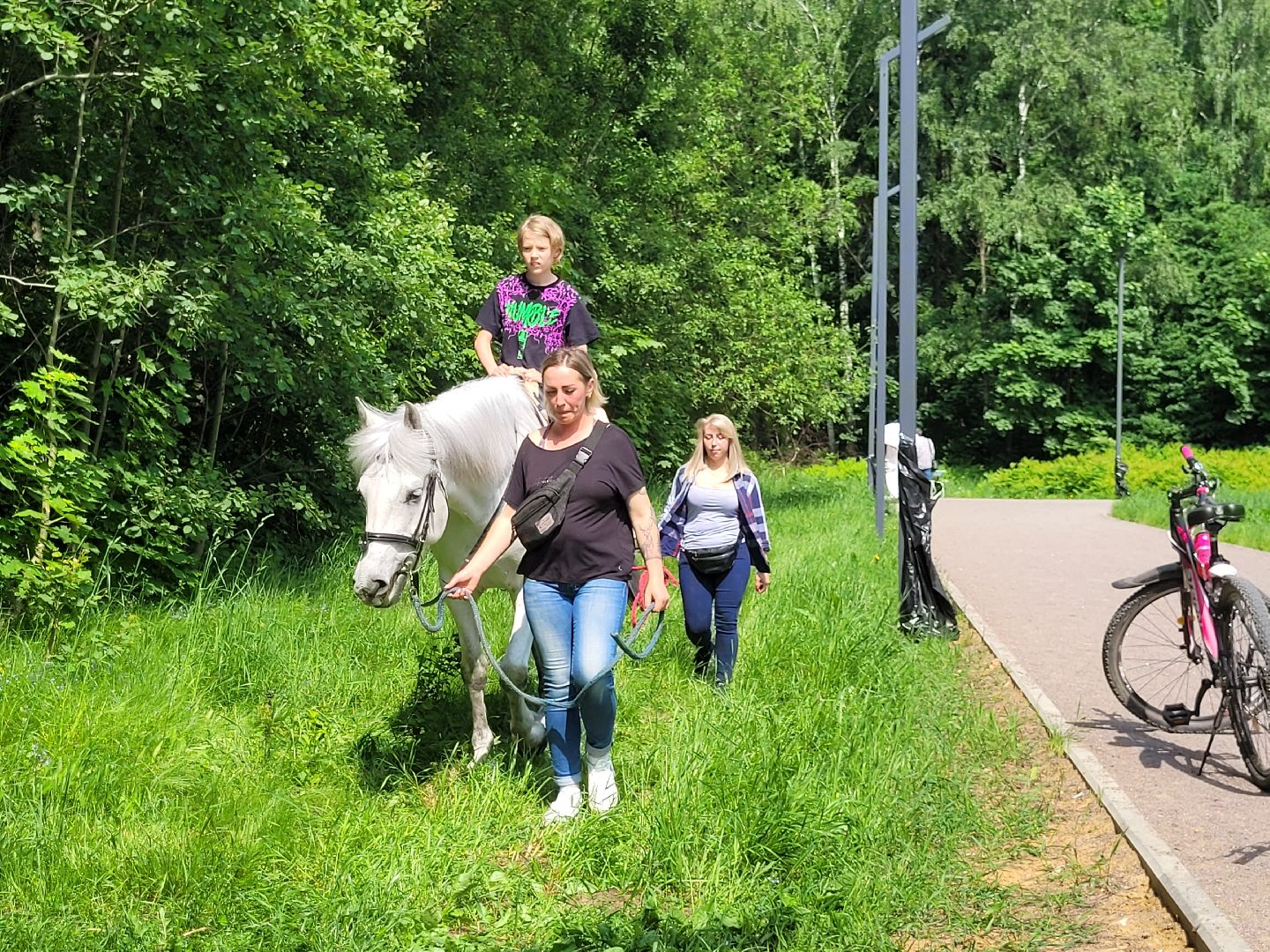 конная прогулка; видное; апаринки; казачий дозор