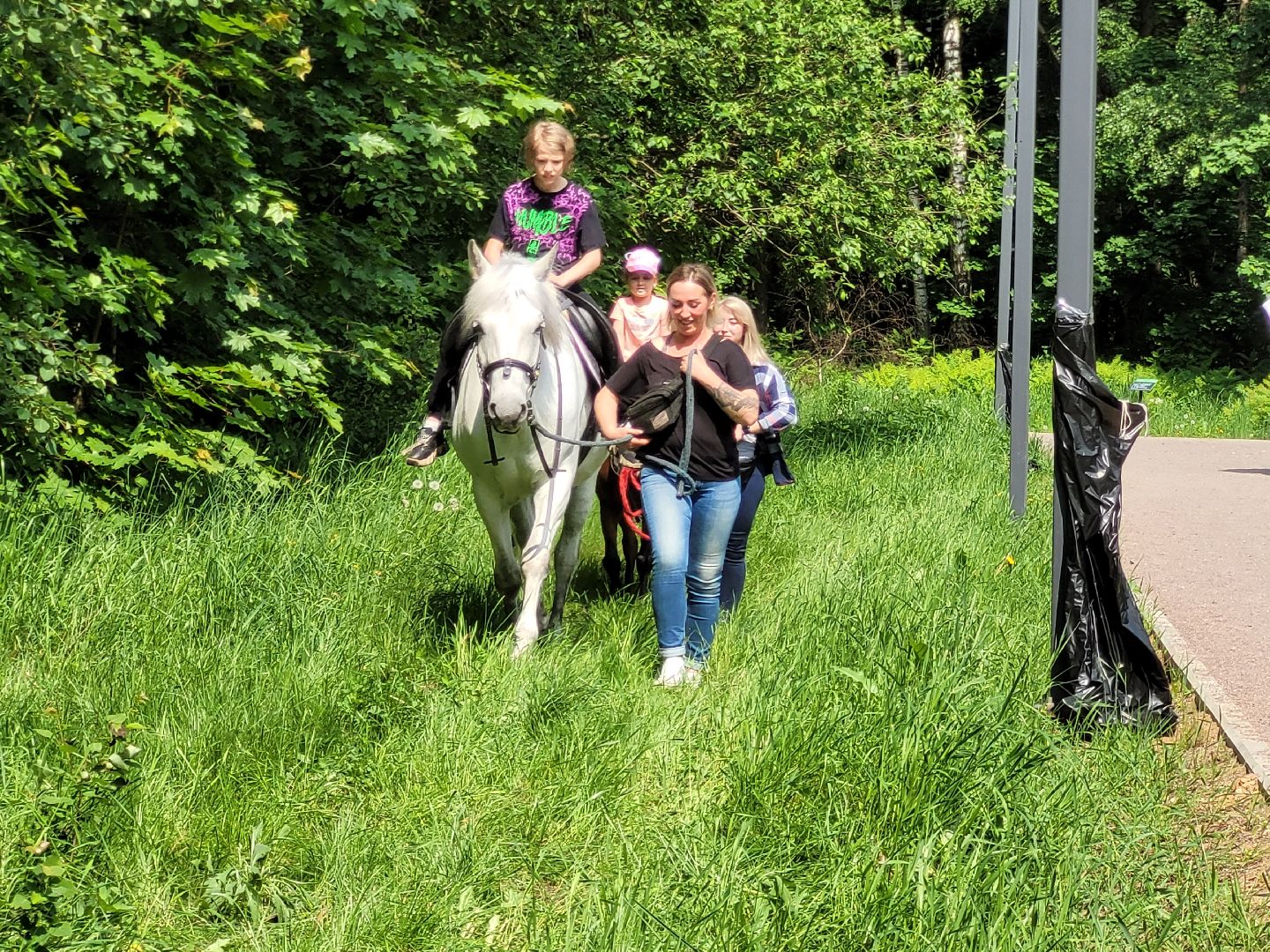 конная прогулка; видное; апаринки; казачий дозор