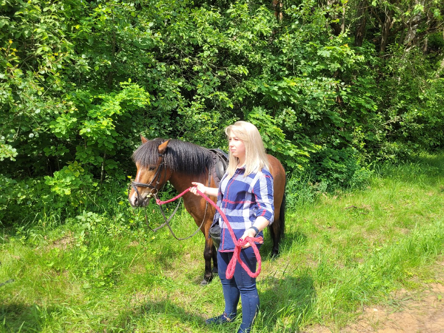 конная прогулка; видное; апаринки; казачий дозор