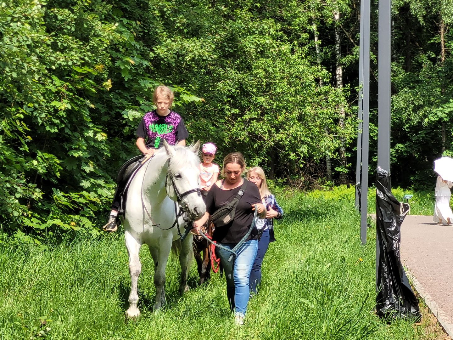 конная прогулка; видное; апаринки; казачий дозор