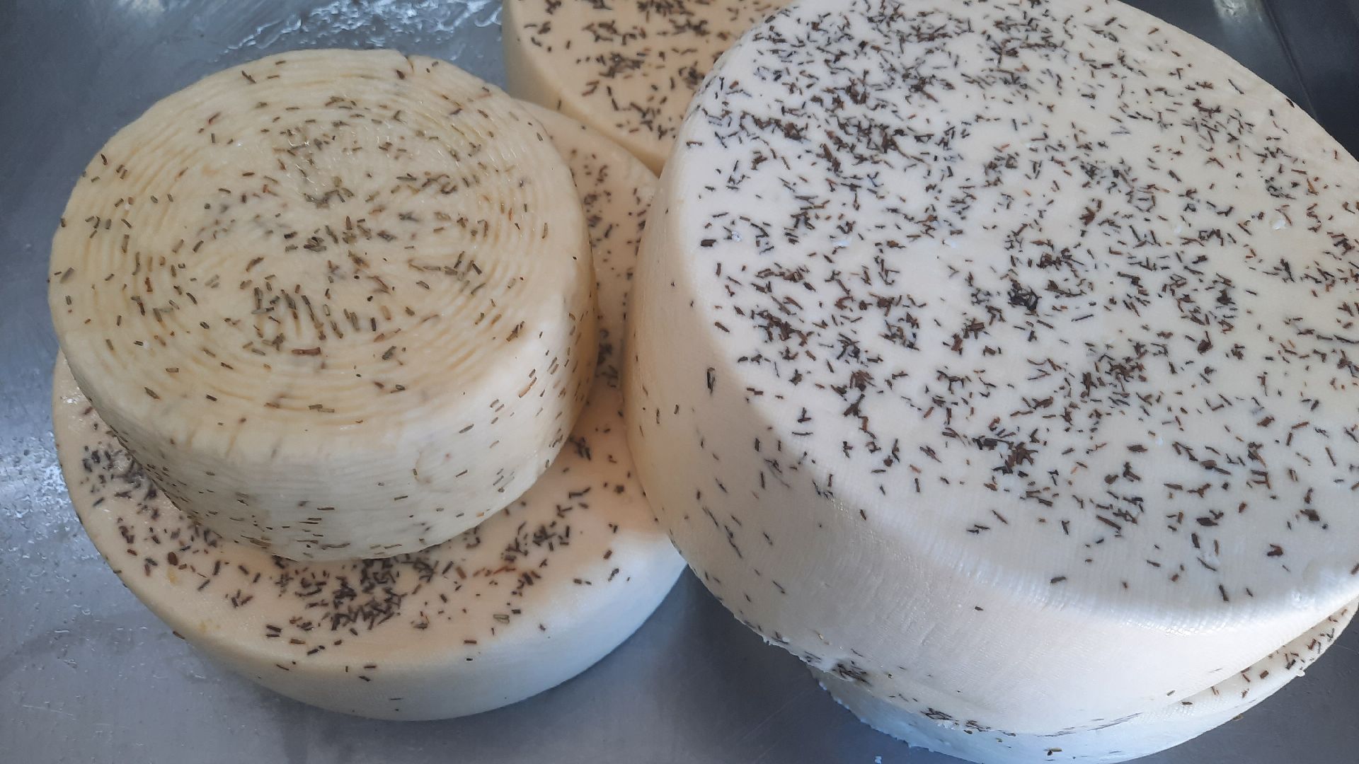 Экскурсия на ферму, Наро-Фоминск, агротуризм