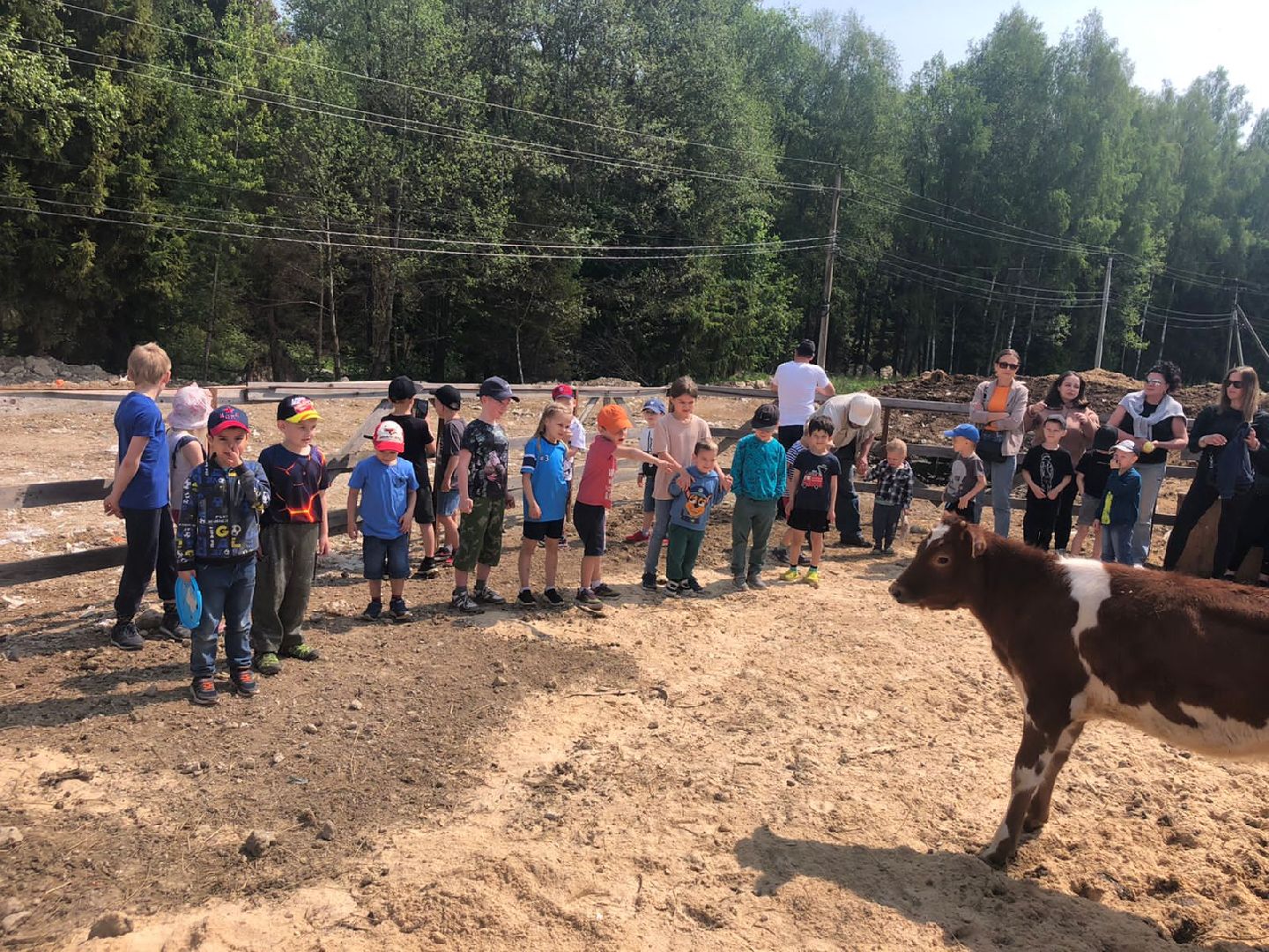 Экскурсия на ферму, Наро-Фоминск, агротуризм