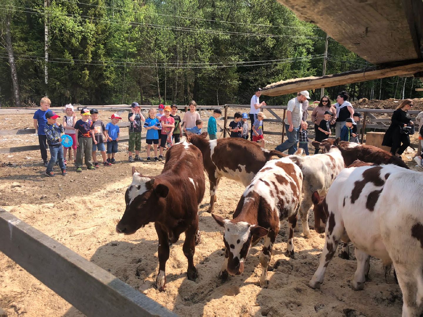 Экскурсия на ферму, Наро-Фоминск, агротуризм