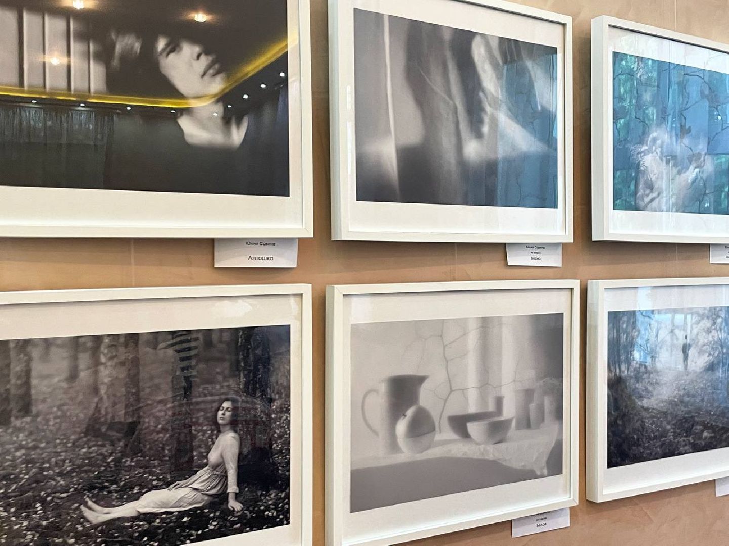 Сергиев Посад, Сергиево-Посадский городской округ, Культура, Библионочь, Чтение, Образование, Просвещение