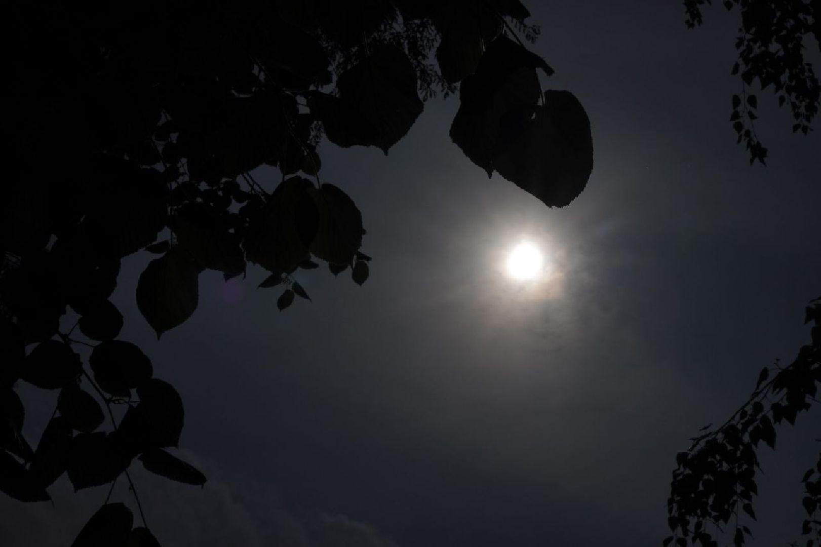 Сергиев Посад, Сергиево-Посадской городской округ, Природа, Фотограф, Эксклюзив, Солнце, Астрономия