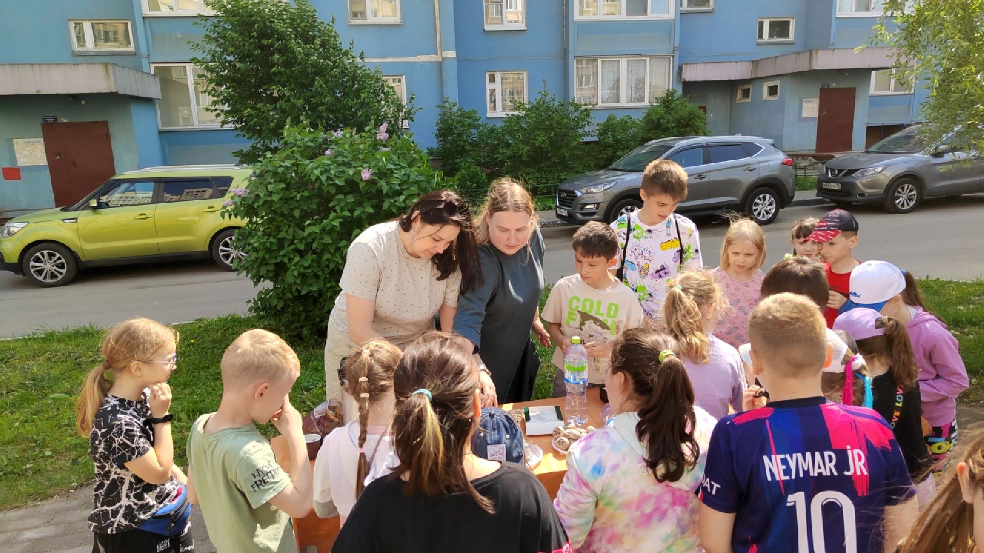 Пушкинский округ, Ивантеевка, Красноармейск, международный день соседей, управляющая компания, ЖКХ, МКД