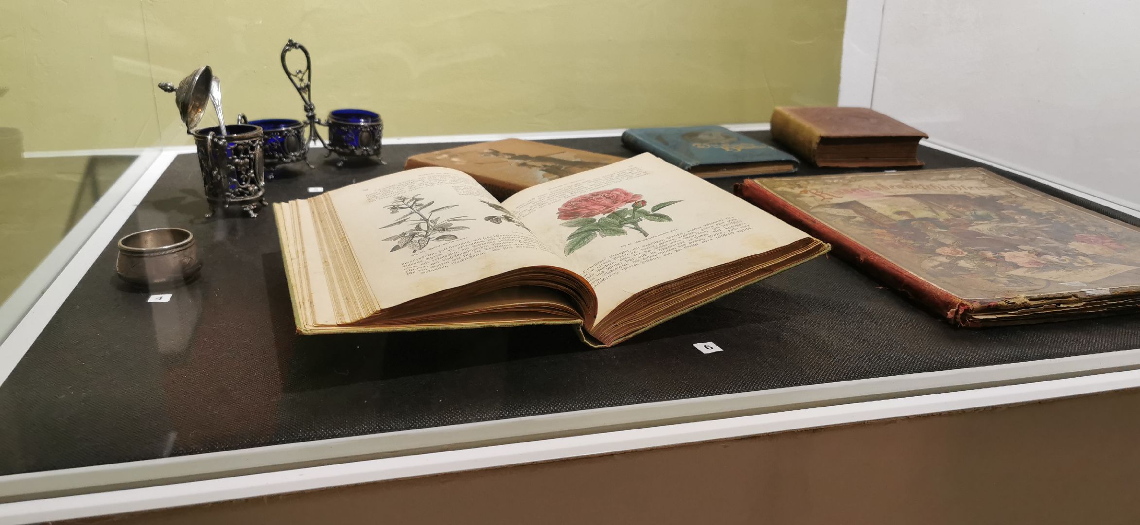 музей, культура, выставка,