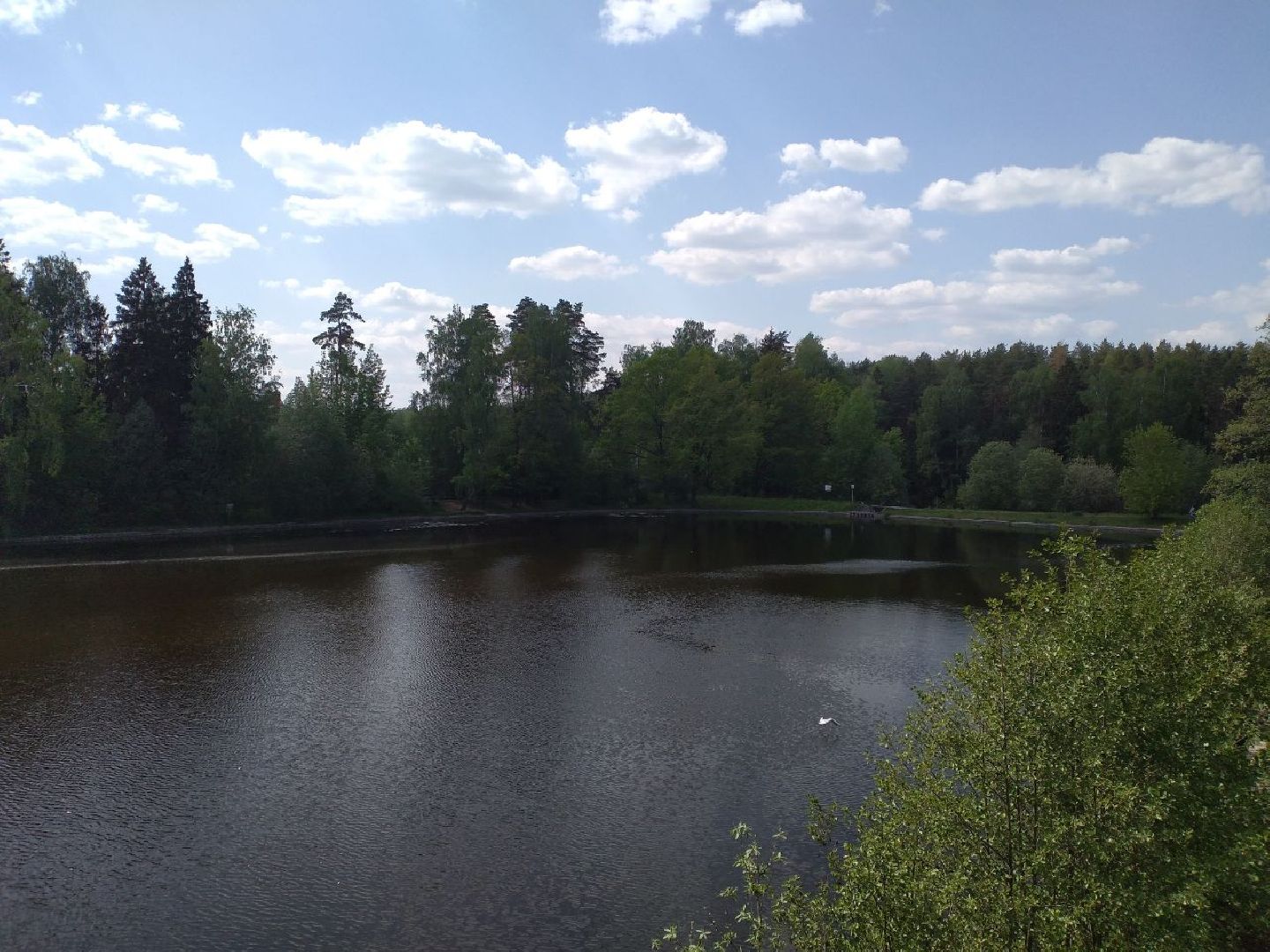 купальный сезон, лето, водоёмы, водолазы, Лосино-Петровский
