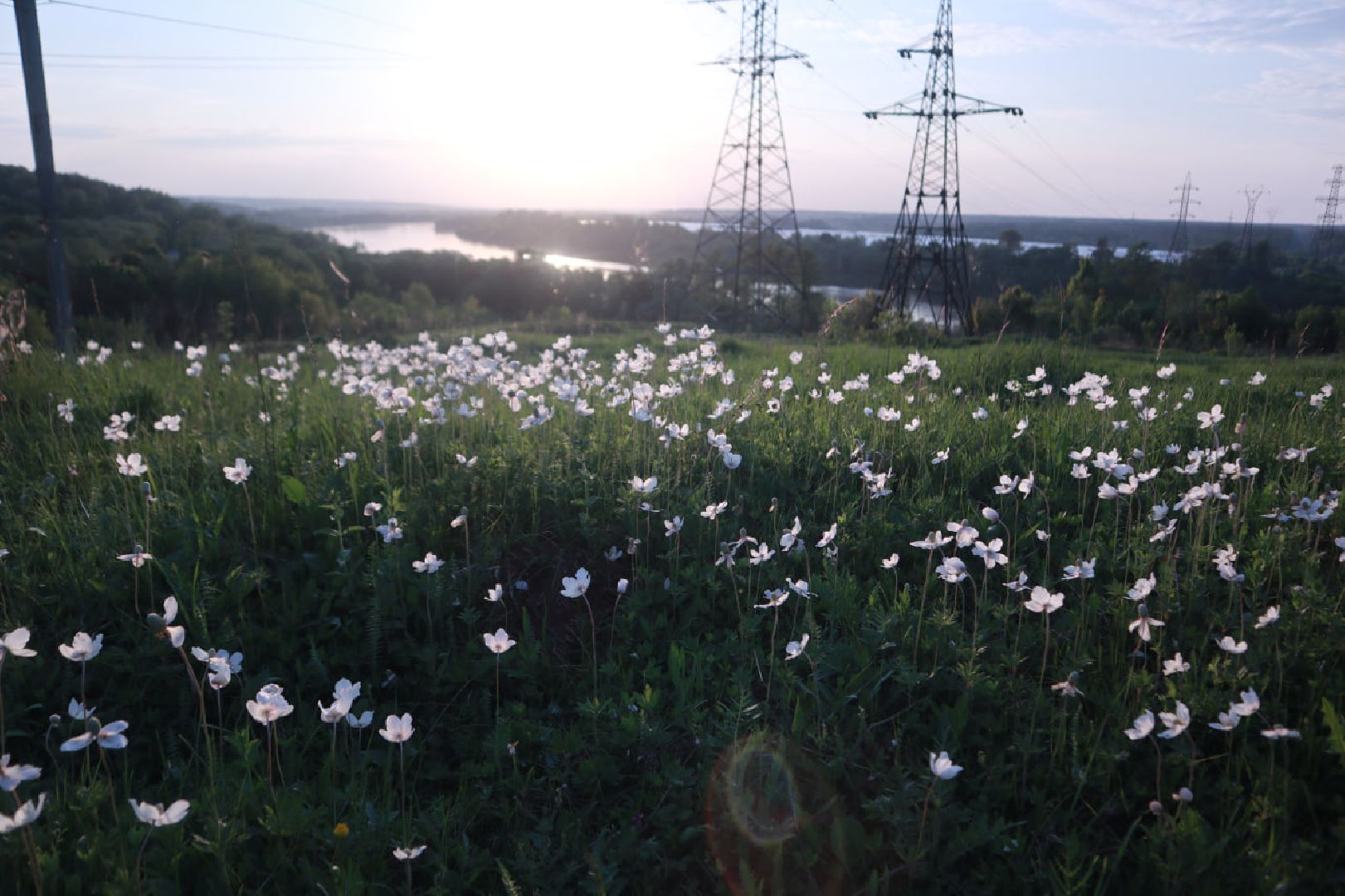 Пущино, экология, туризм